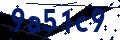Codice di sicurezza
