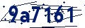 Codice di sicurezza