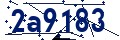 Codice di sicurezza