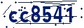 Codice di sicurezza