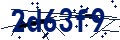 Codice di sicurezza