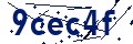 Codice di sicurezza