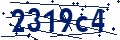 Codice di sicurezza