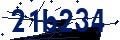 Codice di sicurezza