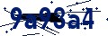 Codice di sicurezza
