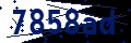 Codice di sicurezza