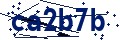Codice di sicurezza
