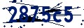 Codice di sicurezza