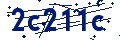 Codice di sicurezza